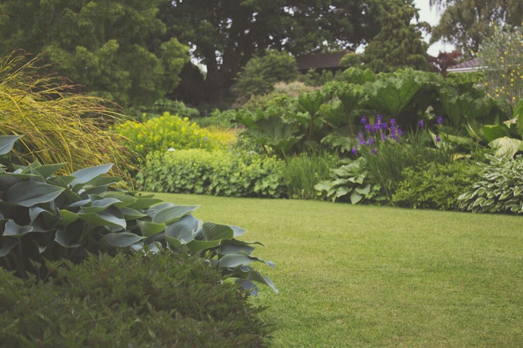 garden plants