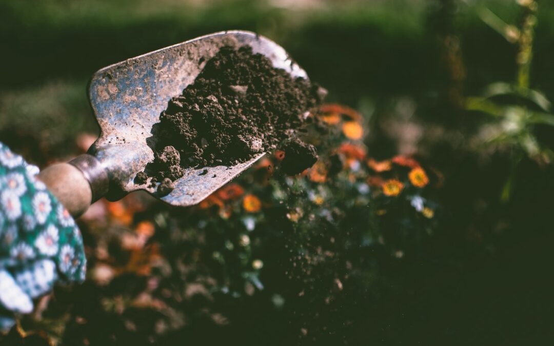 Helpful Tips for Your DIY Garden Renovation