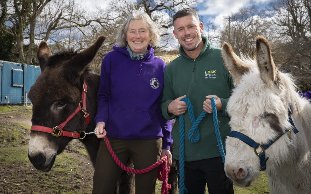 Lock Stock Support Helps Donkeys to Trust Again