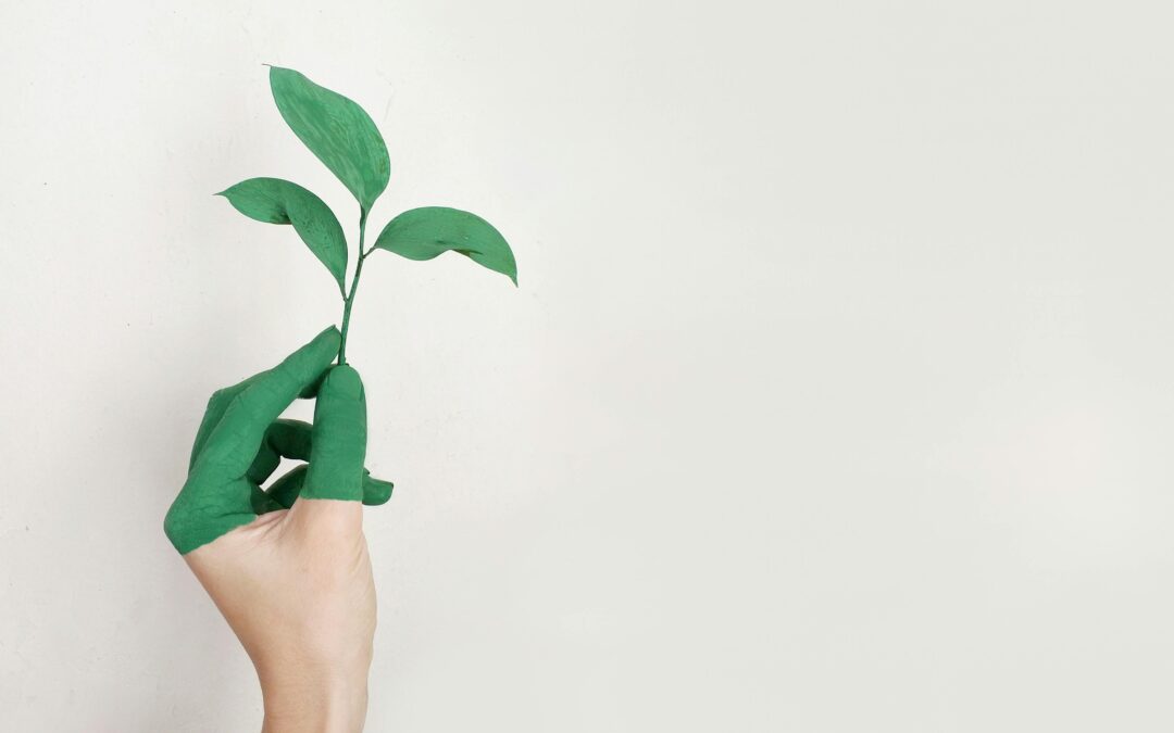 How Self Storage Helps With Sustainability